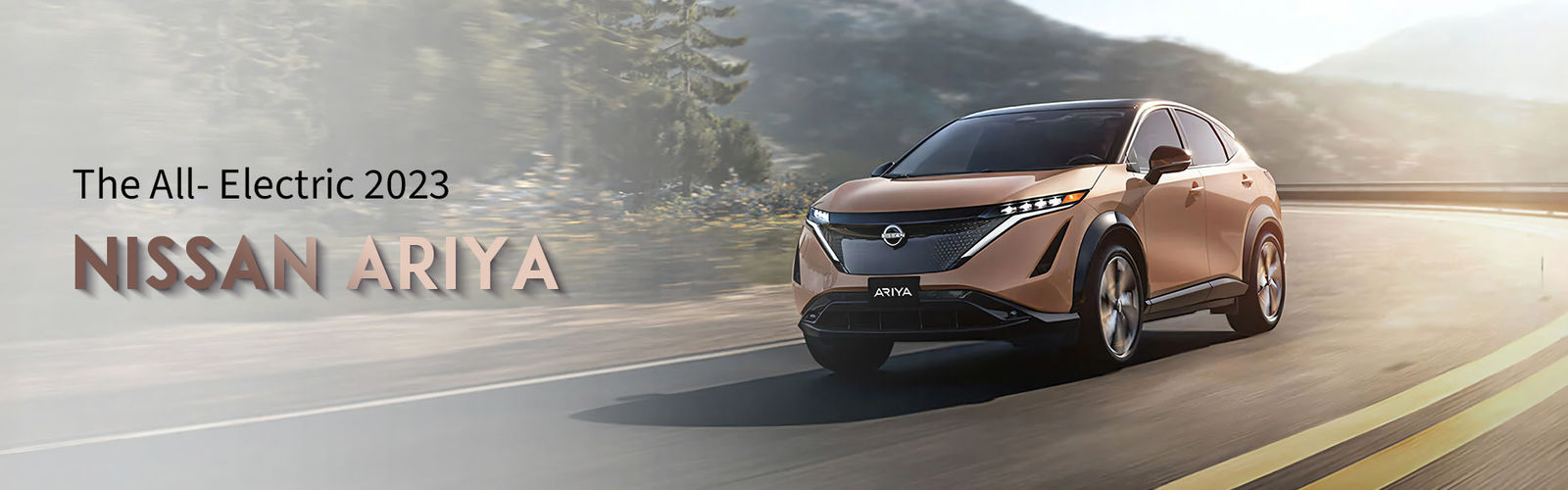 качество Автомобиль Dongfeng EV завод